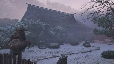 Photo of Speedrun Assassin’s Creed